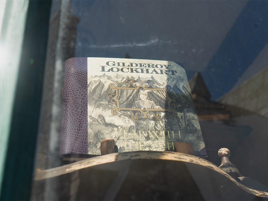 Gilderoy Lockhart's book  in The Wizarding World of Harry Potter. 