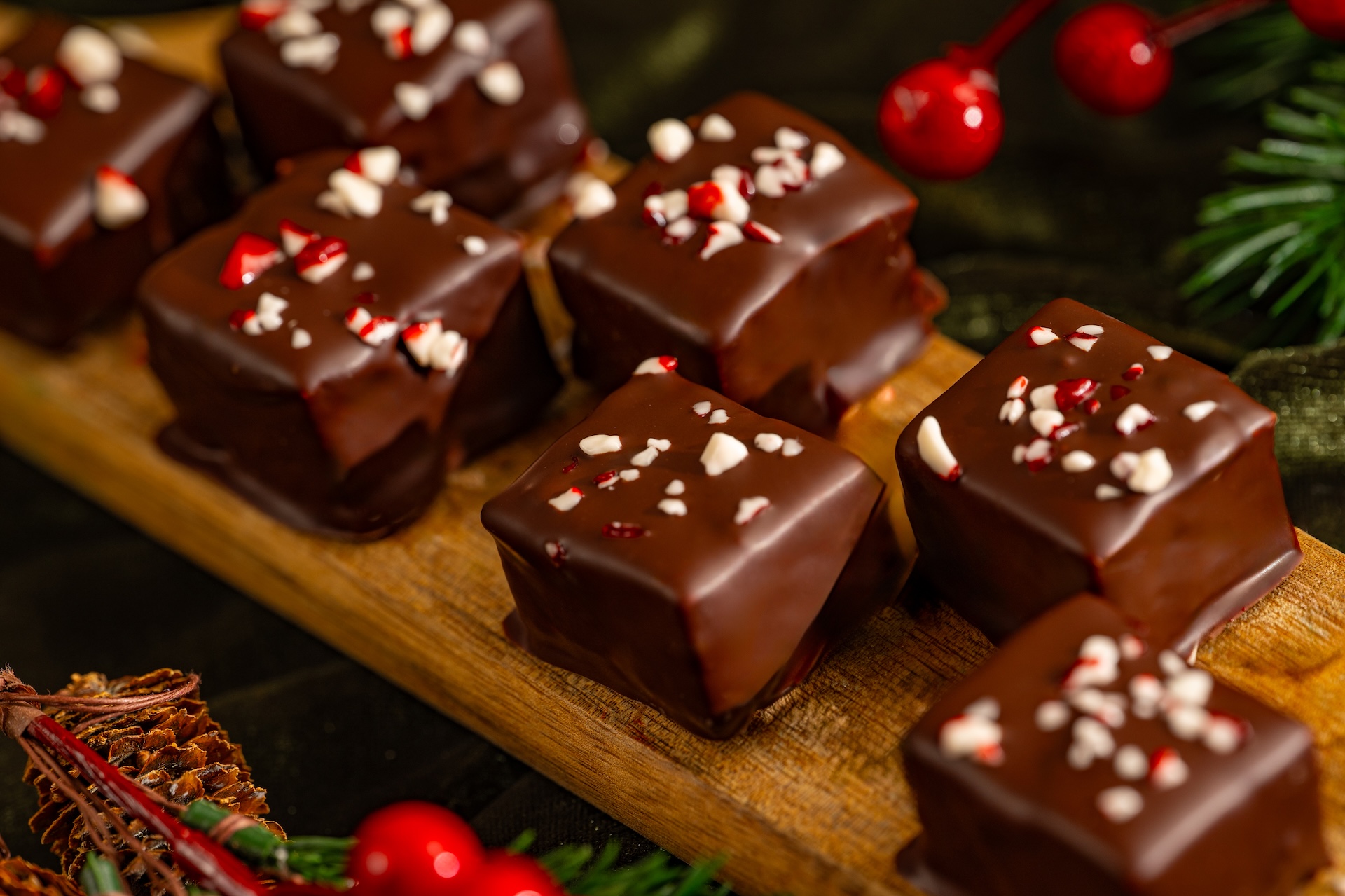 Chocolate-Peppermint Marshmallows: Peppermint Marshmallows covered in 65% Dark Chocolate 