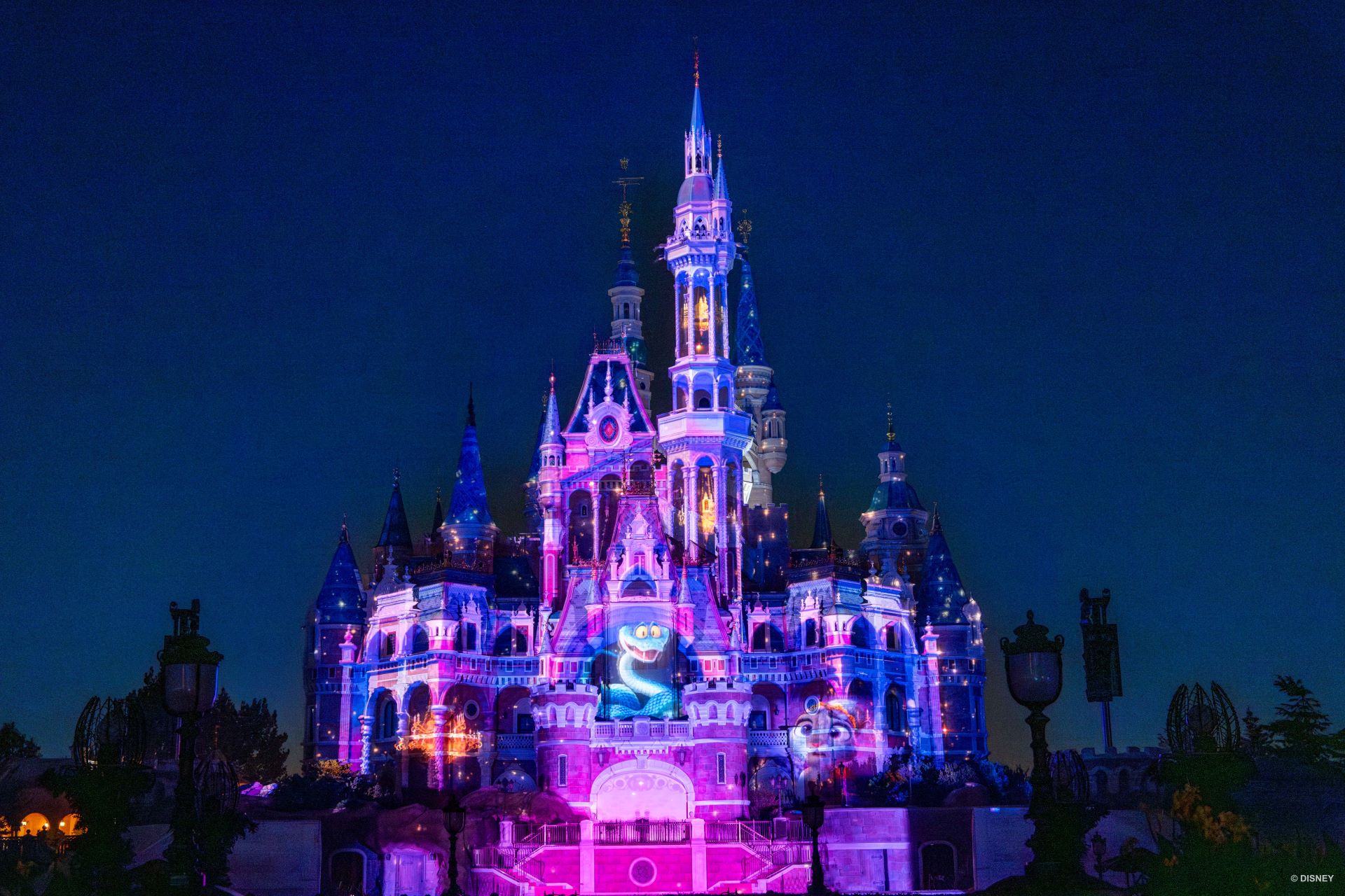 Zootopia Castle Projection Show