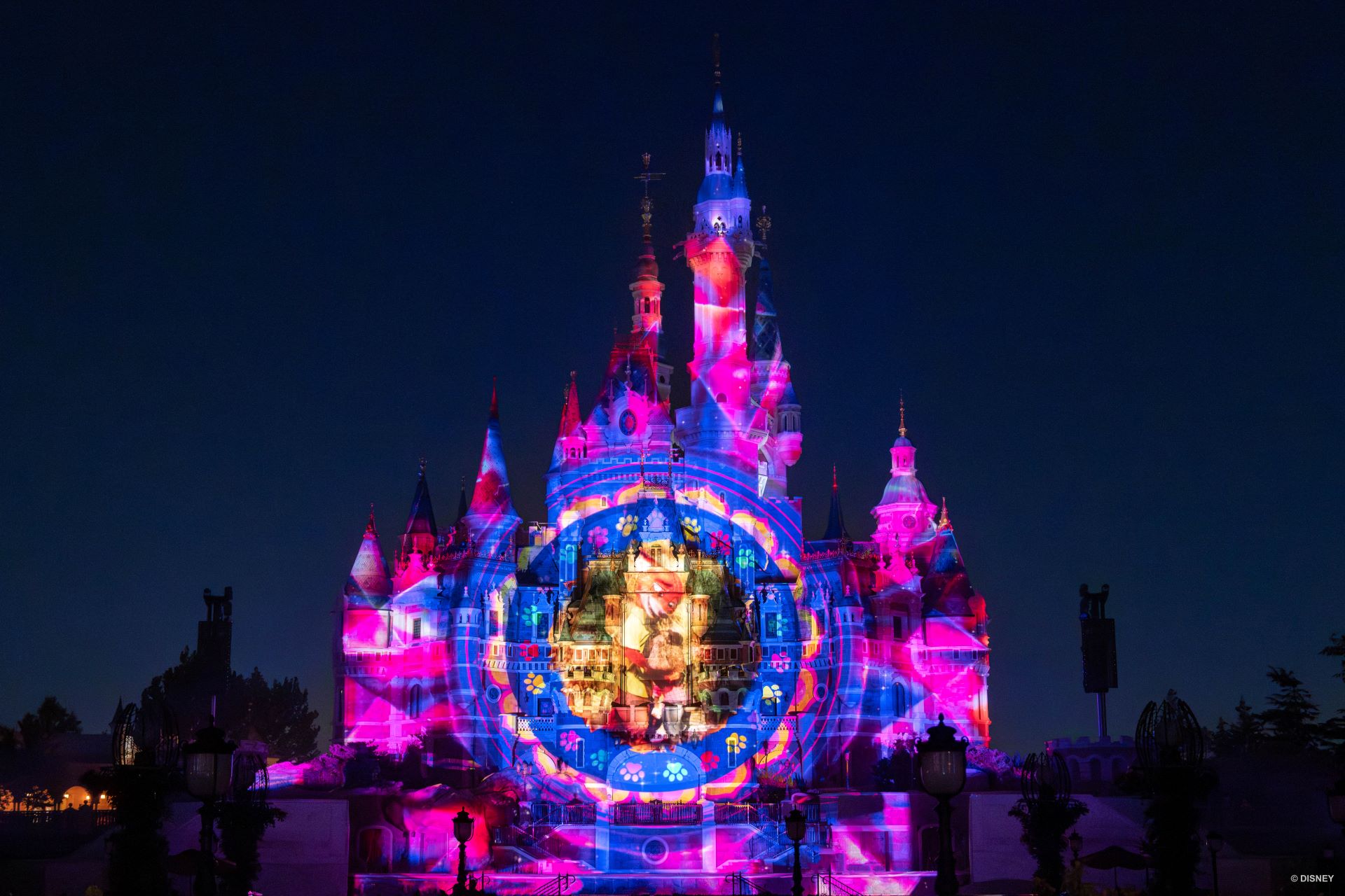 Zootopia Castle Projection Show